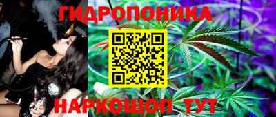 a pvp Пушкино